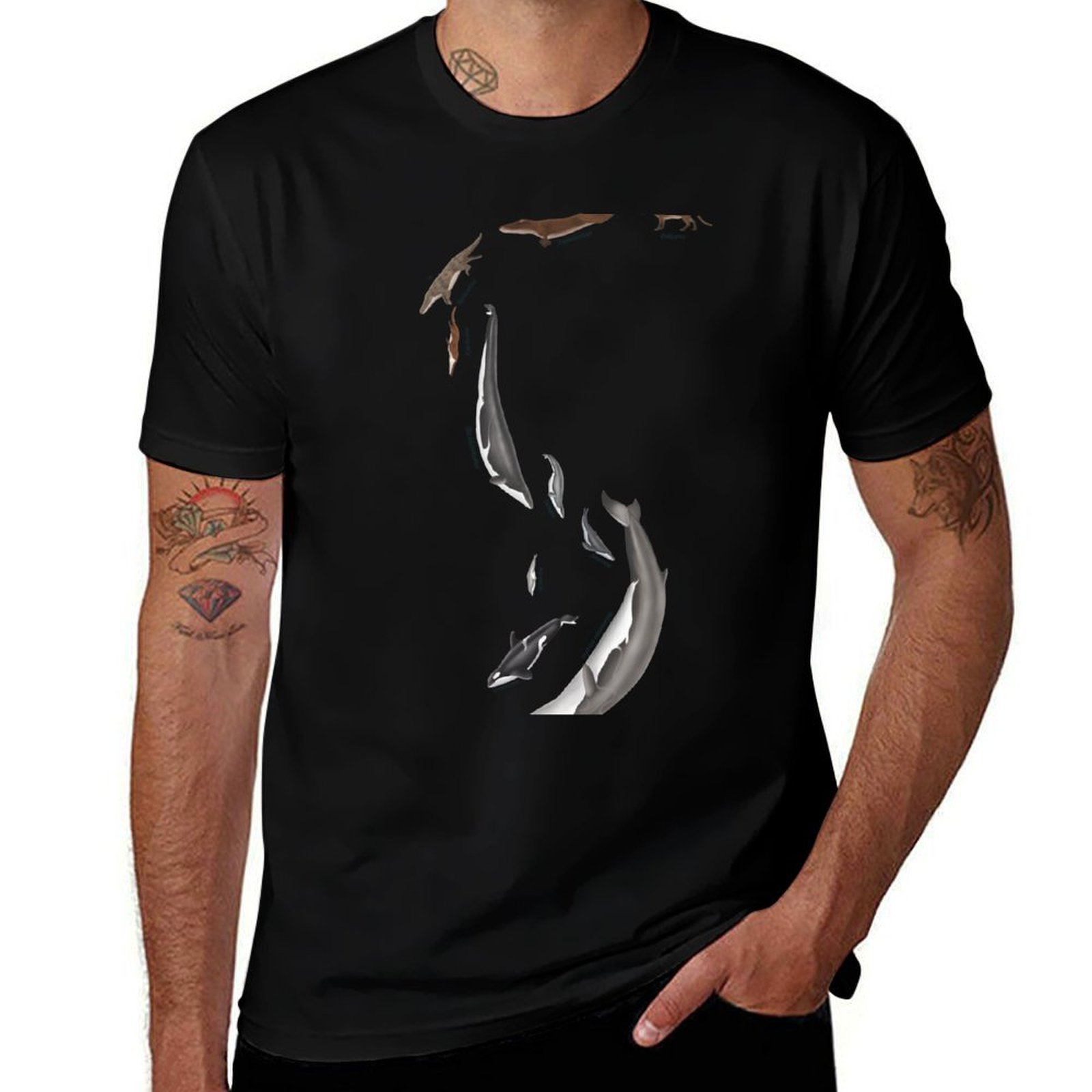 Street Fashion Evolution - Evolución de las ballenas: camiseta con