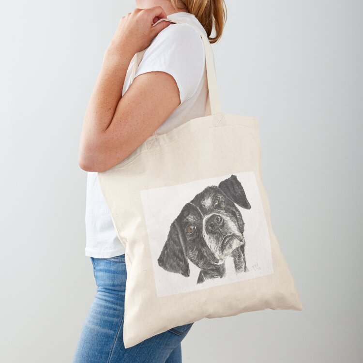 Street Fashion Greece - Perro callejero de Grecia, llamado Dinos