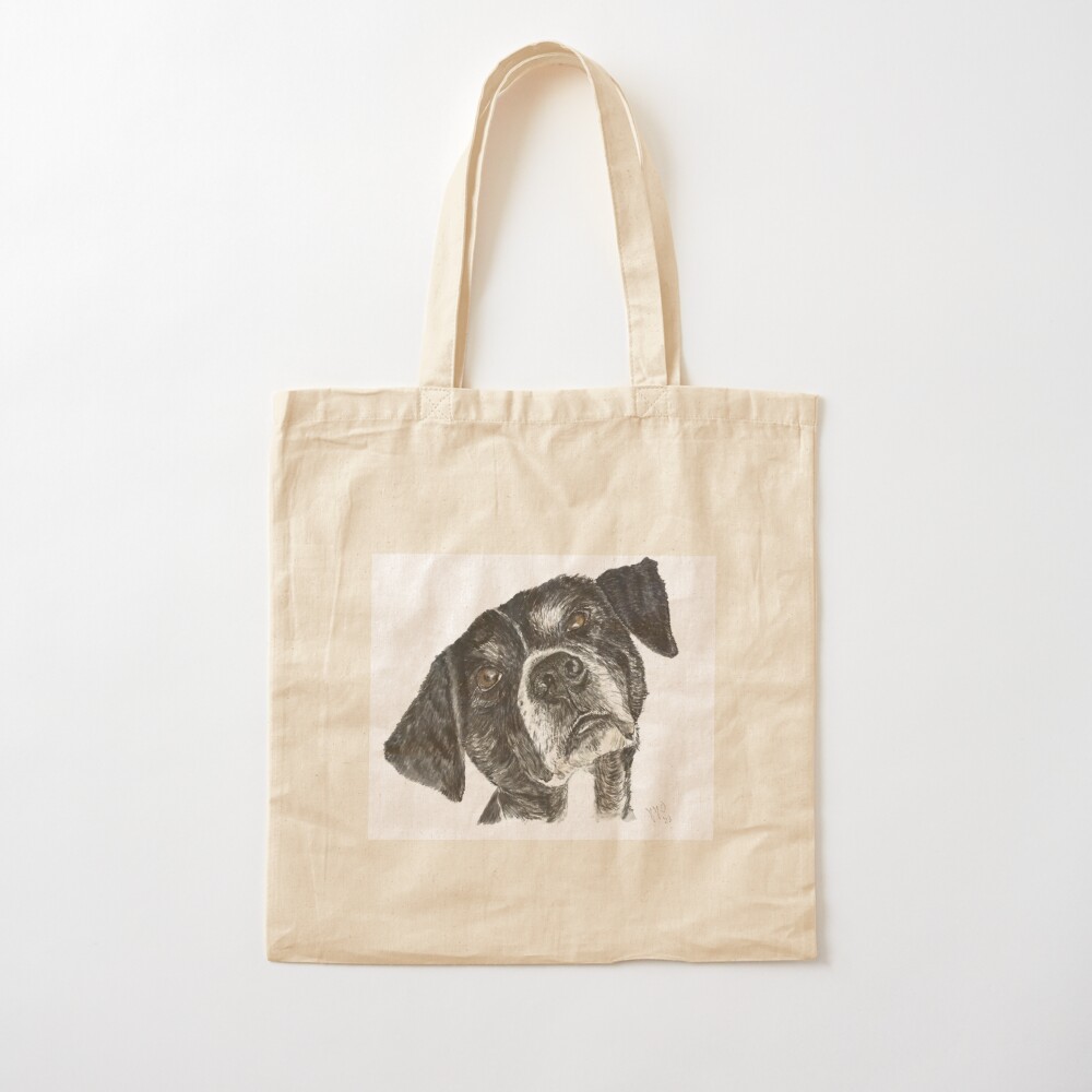 Perro callejero de Grecia, lla - Street Fashion Greece reseña y precio